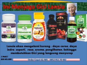 Gizi Lansia