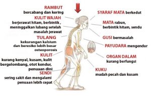 kondisi fisik lansia
